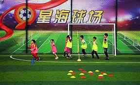 2025WTA生育支持制度，其他个人项目可以学习什么